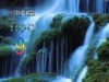 Bài 22. Đột biến cấu trúc nhiễm sắc thể