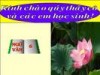 Bài 23. Chuyển đổi câu chủ động thành câu bị động