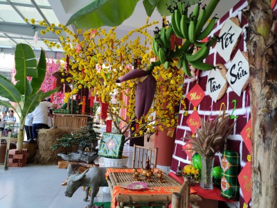 Hội Thi Trang Trí Cây Mai Cây Đào Mừng Xuân 2021