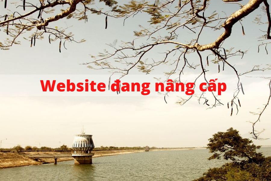 Hình ảnh 1