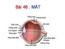 Bai-48-Mat-vat-ly