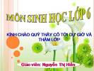 Bài 20. Hô hấp và các cơ quan hô hấp