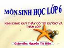 Bài 21. Hoạt động hô hấp