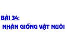 Bài 34. Nhân giống vật nuôi
